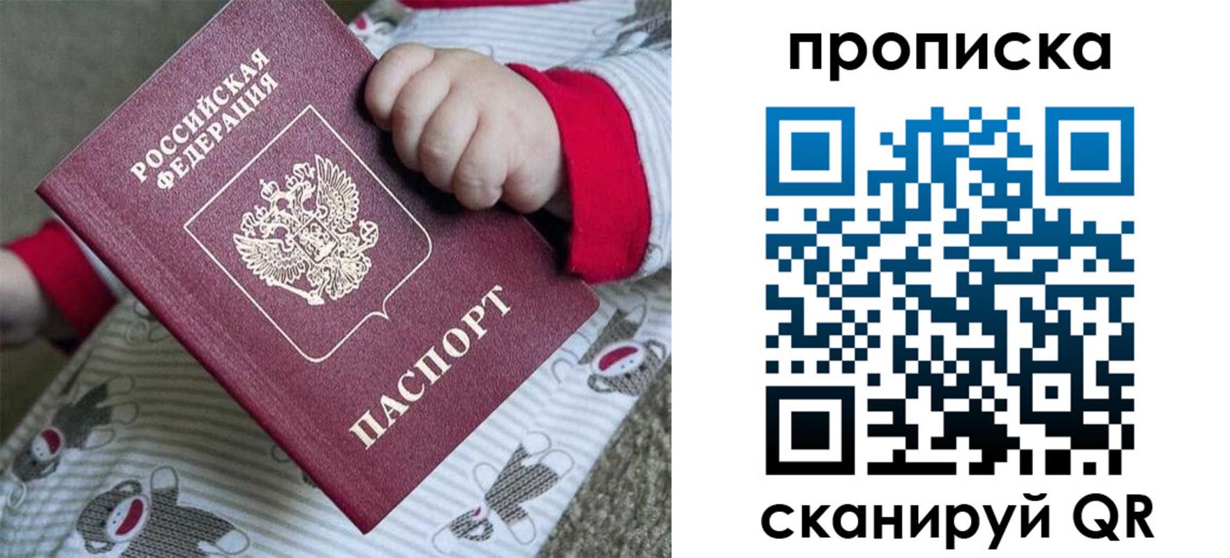 прописка 2025 в Вольске